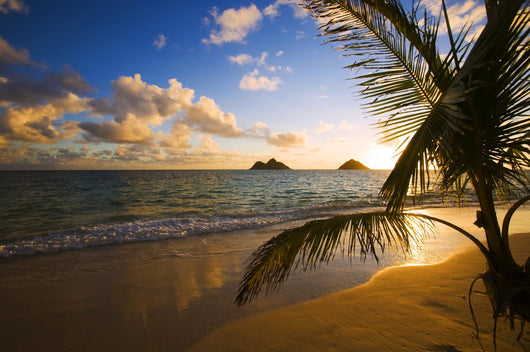 Tropical Sunrise at a Hawaii Beach Wall Mural