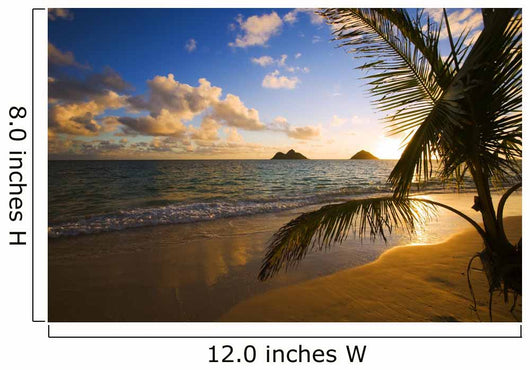 Tropical Sunrise at a Hawaii Beach Wall Mural