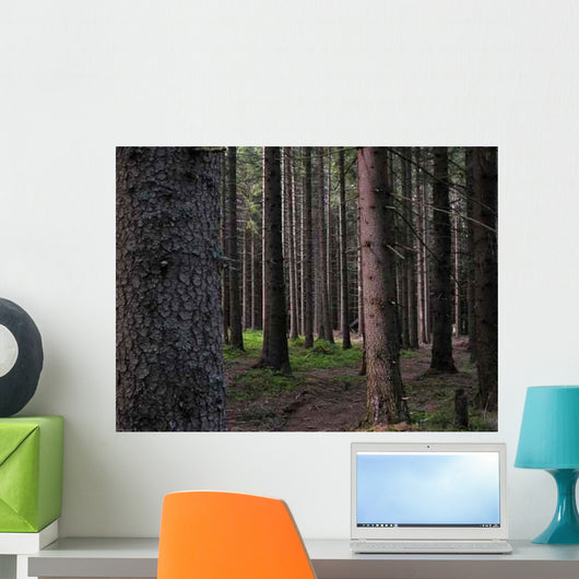 Forest Wall Decal Design 2