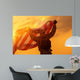 Soldier Celebrating Victory Wall Mural