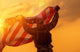 Soldier Celebrating Victory Wall Mural
