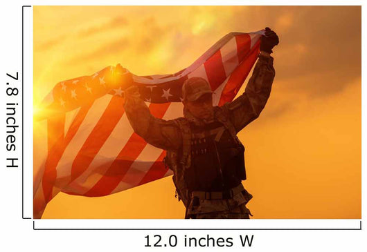 Soldier Celebrating Victory Wall Mural