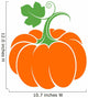 Pumpkin with leaf. Abstract vegetable on white background Wall Decal