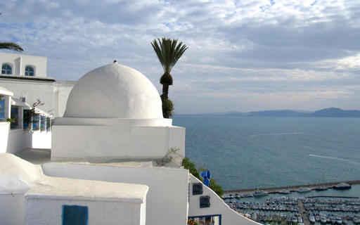 Domes Sidi Bou Said Wall Decal