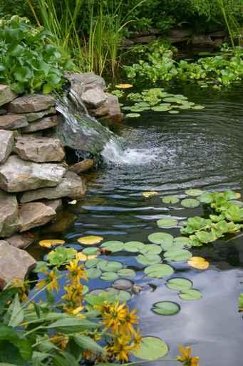 Small Man Made Pond Wall Decal