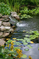 Small Man Made Pond Wall Decal