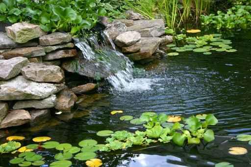 Small Pond Wall Decal