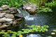 Small Pond Wall Decal