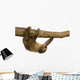 baby Two-toed sloth (4 months) - Choloepus didactylus Wall Decal