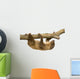 baby Two-toed sloth (4 months) - Choloepus didactylus Wall Decal