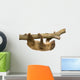baby Two-toed sloth (4 months) - Choloepus didactylus Wall Decal