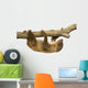 baby Two-toed sloth (4 months) - Choloepus didactylus Wall Decal