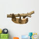 baby Two-toed sloth (4 months) - Choloepus didactylus Wall Decal