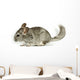 Chinchilla Wall Decal