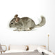 Chinchilla Wall Decal