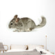 Chinchilla Wall Decal