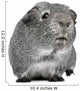 Guinea Pig 3 Years Wall Decal
