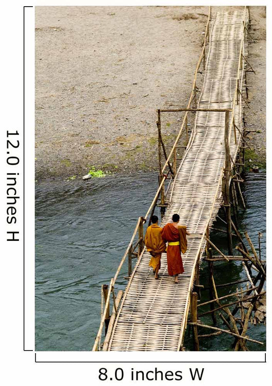 Young Monks on a Bridge Wall Mural