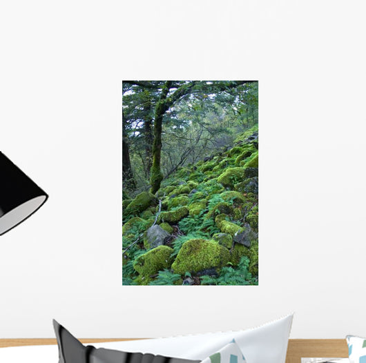 Rainforest Wall Decal