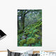 Rainforest Wall Decal