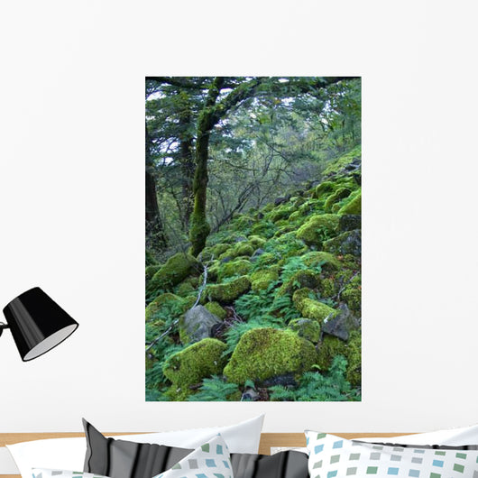 Rainforest Wall Decal