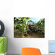 Vineyard Tractor Wall Decal