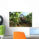 Vineyard Tractor Wall Decal