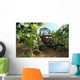 Vineyard Tractor Wall Decal