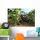 Vineyard Tractor Wall Decal
