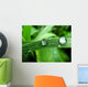Dew on Grass Wall Mural