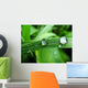 Dew on Grass Wall Mural