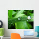 Dew on Grass Wall Mural