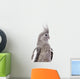 White-Faced Cockatiel Wall Decal