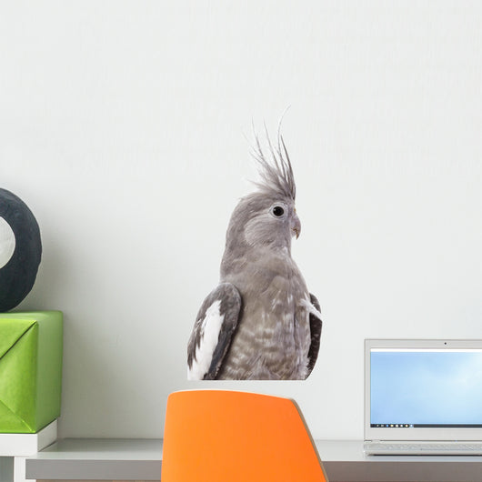 White-Faced Cockatiel Wall Decal