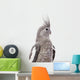 White-Faced Cockatiel Wall Decal