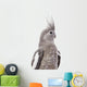 White-Faced Cockatiel Wall Decal