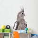 White-Faced Cockatiel Wall Decal