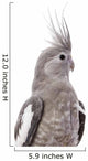 White-Faced Cockatiel Wall Decal