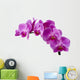 Orchid Wall Decal