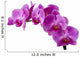 Orchid Wall Decal