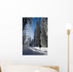 Ski Fund Wall Decal