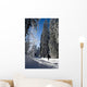 Ski Fund Wall Decal