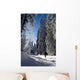 Ski Fund Wall Decal