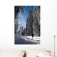 Ski Fund Wall Decal