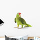 Mexican Red-Headed Amazon Parrot Wall Decal