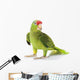 Mexican Red-Headed Amazon Parrot Wall Decal