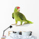 Mexican Red-Headed Amazon Parrot Wall Decal
