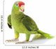 Mexican Red-Headed Amazon Parrot Wall Decal