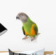 Senegal Parrot Wall Mural
