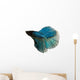 Blue Siamese Fighting Fish